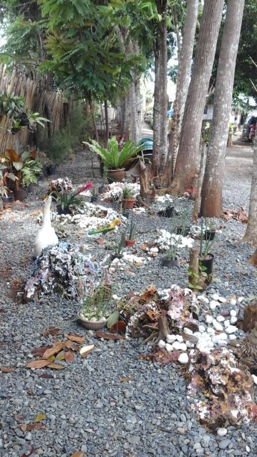 Larmar Bed And Breakfast Puerto Princesa Bilik gambar